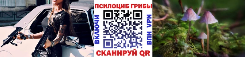 Купить  Белая Калитва  Псилоцибиновые грибы Magic Shrooms 